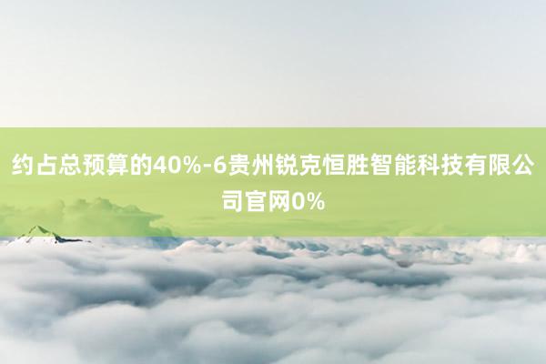 约占总预算的40%-6贵州锐克恒胜智能科技有限公司官网0%