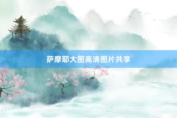 萨摩耶大图高清图片共享