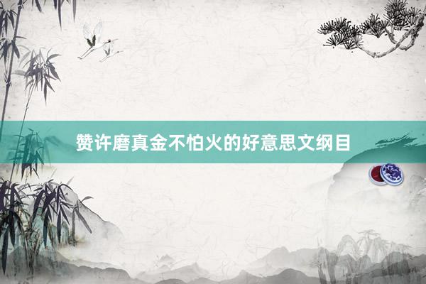 赞许磨真金不怕火的好意思文纲目